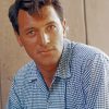 young Rock hudson paint by numbers