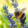 Lavender And Bee paint by numbers