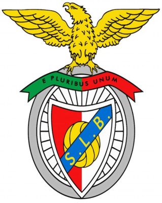 Benfica Log paint by numbers
