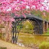 Cherry Blossom Ironbridge coalbrookdale uk paint by number