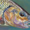 Barbel Fish Underwater Paint by numbers