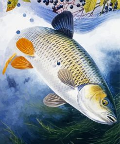 Chub Fish paint by numbers