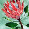 King Protea Plant Art paint by numbers
