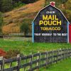 Mail pouch barn paint by numbers