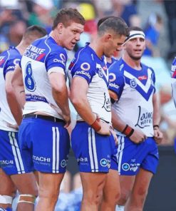 Nrl Bulldogs paint by numbers