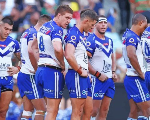 Nrl Bulldogs paint by numbers