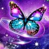 Purple Butterfly paint by numbers