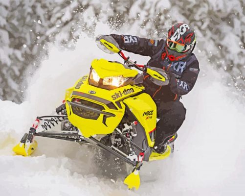 Snowmobile Rider paint by numbers