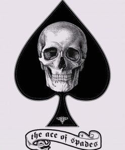 The Ace Of Spades Skull paint by numbers