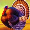 Turkey Bird paint by numbers