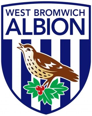 West Bromwich Albion paint by numbers