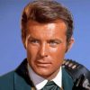 actor Robert Conrad paint by numbers