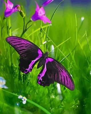 Aesthetic Purple Butterfly paint by numbers