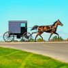 Amish Buggy Illustration paint by numbers