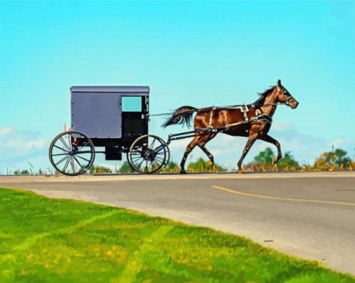 Amish Buggy Illustration paint by numbers
