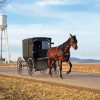 Aesthetic Amish Buggy paint by numbers