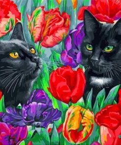Black Cats Paint by numbers
