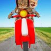 Cats On Scooter paint by numbers