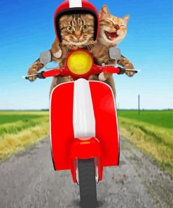 Cats On Scooter paint by numbers