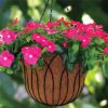 Hanging Basket Flowers paint by numbers