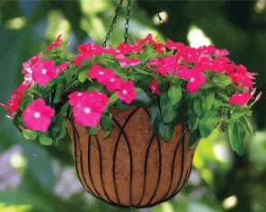Hanging Basket Flowers paint by numbers