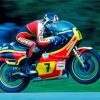 The Professional Motorcyle Barry Sheene Paint by numbers