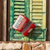 Red Accordion paint by numbers