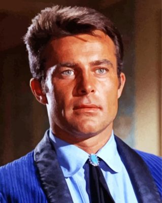 young Robert Conrad paint by numbers