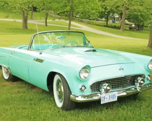 Ford Thunderbird paint by numbers