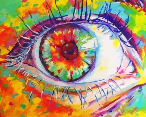 Colorful Lady Eye paint by numbers
