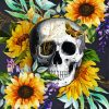 Skull Sunflower paint by numbers