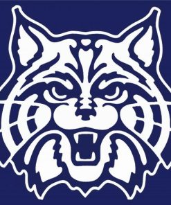 University of ARIZONA Wildcats Logo paint by numbers