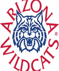 University of ARIZONA Wildcats paint by numbers
