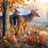White Tailed Deer paint by numbers