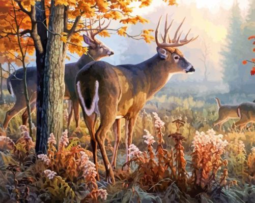 White Tailed Deer paint by numbers