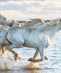 White Wild Horses Running Through Canyon paint by numbers