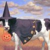 Aesthetic Halloween Cow paint by numbers