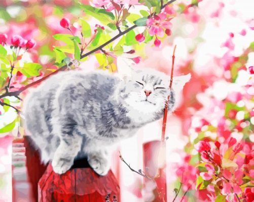 Aesthetic Spring Cat paint by number