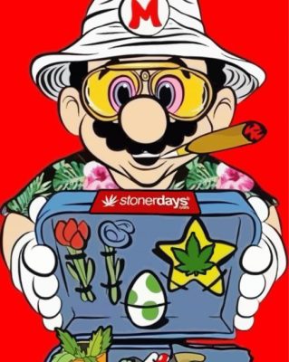Aesthetic Stoner Mario   paint by numbers