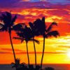 Aesthetic Hawaiian Sunset paint by numbers