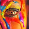 Colorful Lady Eye paint by numbers