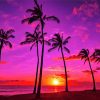 hawaiian sunsets paint by numbers