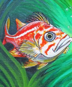 Rockfish paint by numbers