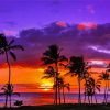 hawaiian sunsets paint by numbers
