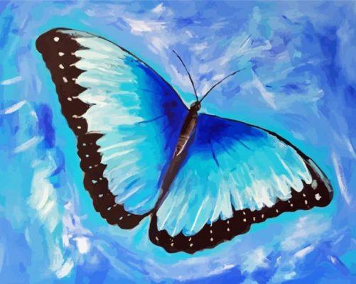 Blue Butterfly paint by numbers