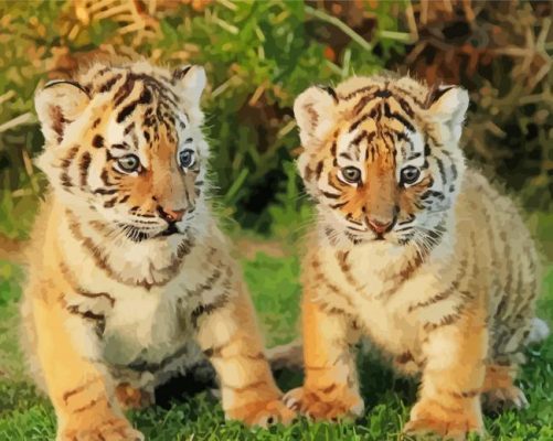 Baby Tigers paint by number p