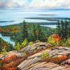 Cadillac Mountain Art paint by number p