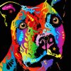 Colorful Staffy Art paint by number p