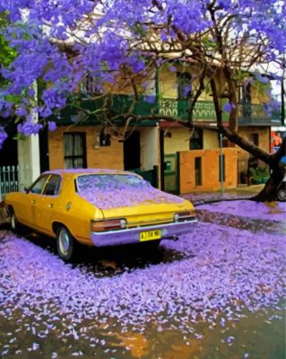 Jacaranda Tree And Yellllow Car paint by numbers
