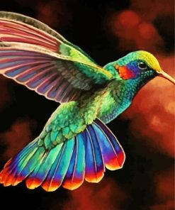 Rainbow Hummingbird paint by number p